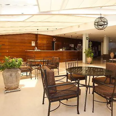 酒店 皇家莫妮卡sbh酒店 普拉亚布兰卡